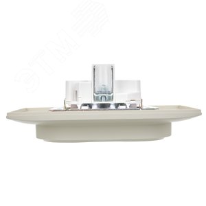 SKANDY Розетка 2-местная с заземлением без защитных шторок 16А в сборе SK-R08B бежевый IEK - фото 5