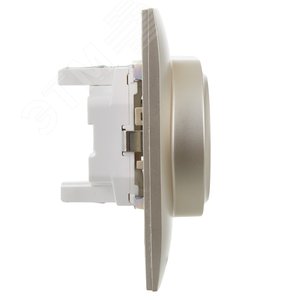 SKANDY Розетка 2-местная с заземлением без защитных шторок 16А в сборе SK-R08Sh шампань IEK - фото 4