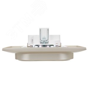 SKANDY Розетка 2-местная с заземлением без защитных шторок 16А в сборе SK-R08Sh шампань IEK - фото 5