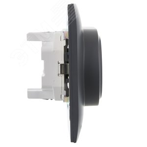 SKANDY Розетка 2-местная с заземлением без защитных шторок 16А в сборе SK-R08T титан IEK - фото 4