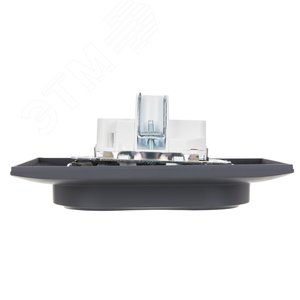 SKANDY Розетка 2-местная с заземлением без защитных шторок 16А в сборе SK-R08T титан IEK - фото 5