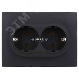 SKANDY Розетка 2-местная с заземлением без защитных шторок 16А в сборе SK-R08G графит IEK - фото 2