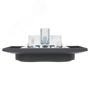 SKANDY Розетка 2-местная с заземлением без защитных шторок 16А в сборе SK-R08G графит IEK - фото 5