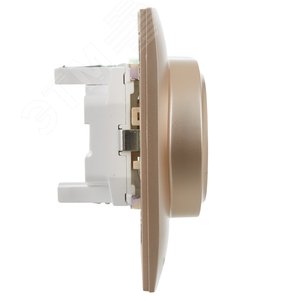 SKANDY Розетка 2-местная с заземлением без защитных шторок 16А в сборе SK-R08Sa песочный IEK - фото 4