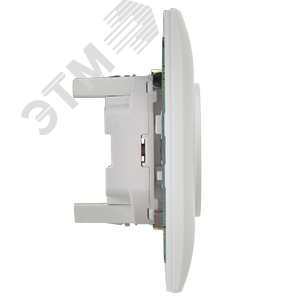 SKANDY Розетка 2-местная без заземления с защитными шторками 10А в сборе SK-R09W арктический белый IEK - фото 4