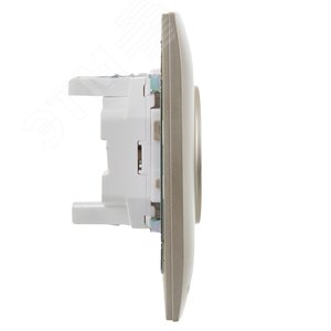 SKANDY Розетка 2-местная без заземления с защитными шторками 10А в сборе SK-R09Sh шампань IEK - фото 4