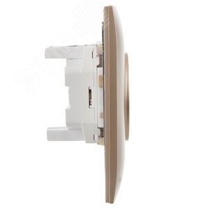 SKANDY Розетка 2-местная без заземления с защитными шторками 10А в сборе SK-R09Sa песочный IEK - фото 4