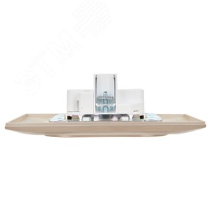 SKANDY Розетка 2-местная без заземления с защитными шторками 10А в сборе SK-R09Sa песочный IEK - фото 5