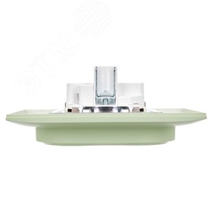 SKANDY Розетка 2-местная с заземлением с защитными шторками 16А в сборе SK-R07G мятный IEK - фото 5