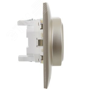 SKANDY Розетка 2-местная с заземлением с защитными шторками 16А в сборе SK-R07Sh шампань IEK - фото 4