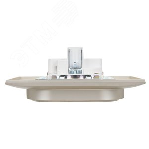 SKANDY Розетка 2-местная с заземлением с защитными шторками 16А в сборе SK-R07Sh шампань IEK - фото 5