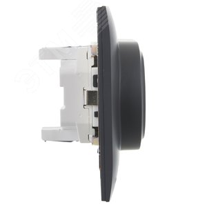 SKANDY Розетка 2-местная с заземлением с защитными шторками 16А в сборе SK-R07T титан IEK - фото 4