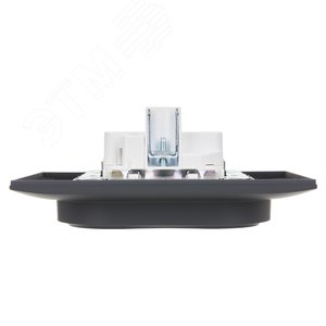 SKANDY Розетка 2-местная с заземлением с защитными шторками 16А в сборе SK-R07G графит IEK - фото 5