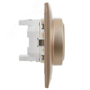 SKANDY Розетка 2-местная с заземлением с защитными шторками 16А в сборе SK-R07Sa песочный IEK - фото 4