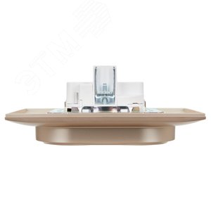 SKANDY Розетка 2-местная с заземлением с защитными шторками 16А в сборе SK-R07Sa песочный IEK - фото 5