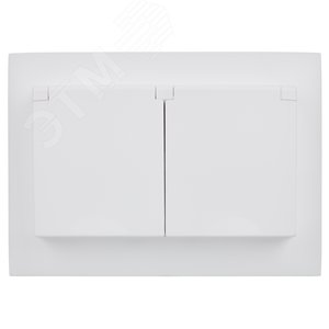 SKANDY Розетка 2-местная и крышкой 16А в сборе IP44 SK-R12W арктический белый IEK - фото 2