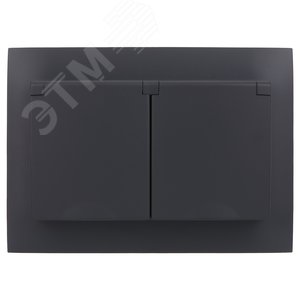 SKANDY Розетка 2-местная и крышкой 16А в сборе IP44 SK-R12T титан IEK - фото 2