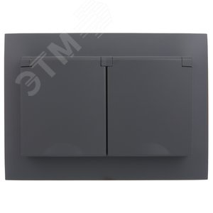 SKANDY Розетка 2-местная и крышкой 16А в сборе IP44 SK-R12G графит IEK - фото 3