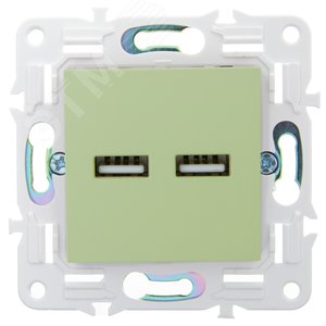SKANDY Розетка USB A+A 3,1А SK-R15G мятный IEK - фото 2