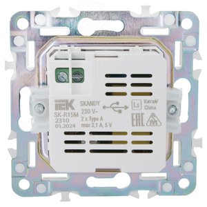 SKANDY Розетка USB A+A 3,1А SK-R15G мятный IEK - фото 3