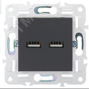 SKANDY Розетка USB A+A 3,1А SK-R15T титан IEK - фото 2