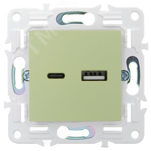 SKANDY Розетка USB A+C 3,1А SK-R14G мятный IEK - фото 2