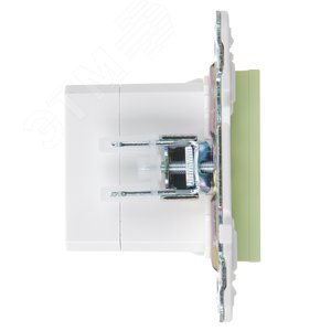 SKANDY Розетка USB A+C 3,1А SK-R14G мятный IEK - фото 4