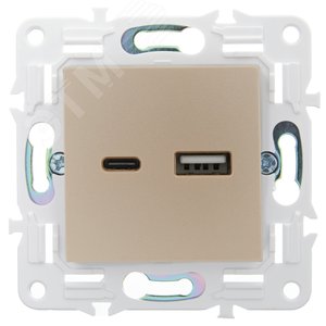 SKANDY Розетка USB A+C 3,1А SK-R14Sh шампань IEK - фото 2