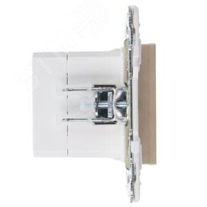 SKANDY Розетка USB A+C 3,1А SK-R14Sh шампань IEK - фото 4