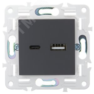 SKANDY Розетка USB A+C 3,1А SK-R14T титан IEK - фото 2