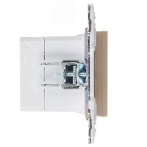 SKANDY Розетка USB A+C 3,1А SK-R14Sa песочный IEK - фото 4