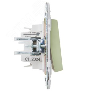 SKANDY Выключатель 1-клавишный 10А SK-V01G мятный IEK - фото 4