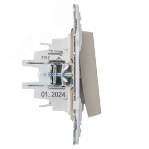 SKANDY Выключатель 1-клавишный 10А SK-V01Sh шампань IEK - фото 4