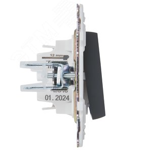 SKANDY Выключатель 1-клавишный 10А SK-V01G графит IEK - фото 4