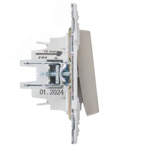 SKANDY Выключатель 1-клавишный с индикацией 10А SK-V07Sh шампань IEK - фото 4