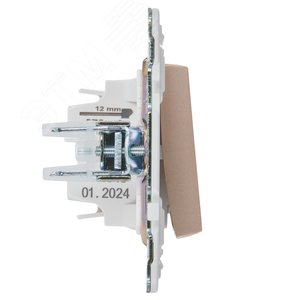 SKANDY Выключатель 1-клавишный с индикацией 10А SK-V07Sa песочный IEK - фото 4