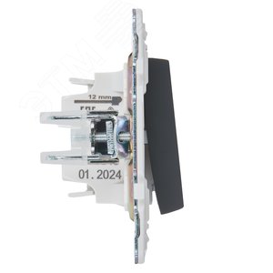 SKANDY Выключатель 1-клавишный проходной 10А SK-V02G графит IEK - фото 4