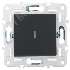 SKANDY Выключатель 1-клавишный проходной с индикацией 10А SK-V08G графит IEK - фото 2