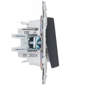 SKANDY Выключатель 1-клавишный перекрестный 10А SK-V03T титан IEK - фото 4