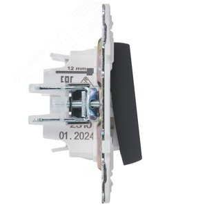 SKANDY Выключатель 1-клавишный перекрестный 10А SK-V03G графит IEK - фото 4