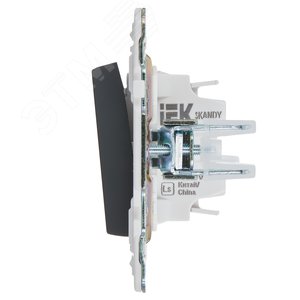 SKANDY Выключатель 1-клавишный кнопочный 10А SK-V14G графит IEK - фото 4