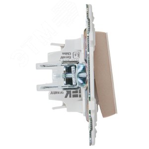 SKANDY Выключатель 1-клавишный кнопочный 10А SK-V14Sa песочный IEK - фото 4