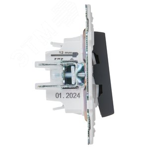 SKANDY Выключатель 2-клавишный 10А SK-V04G графит IEK - фото 4