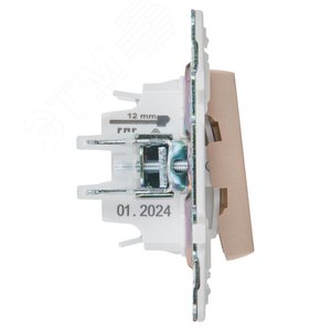 SKANDY Выключатель 2-клавишный 10А SK-V04Sa песочный IEK - фото 4