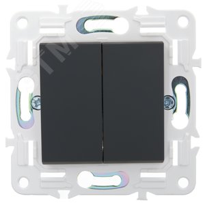 SKANDY Выключатель 2-клавишный с индикацией 10А SK-V09G графит IEK - фото 2