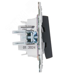 SKANDY Выключатель 2-клавишный с индикацией 10А SK-V09G графит IEK - фото 4