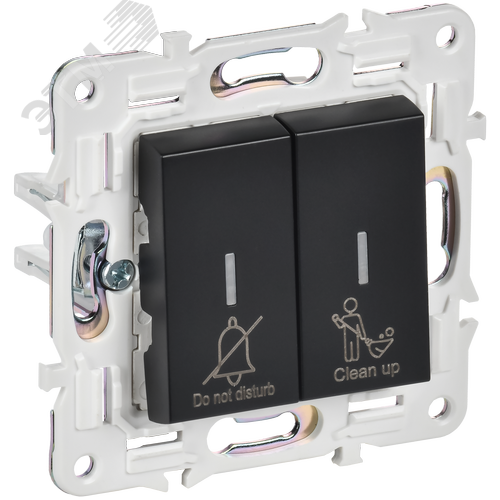 Изображение товара SKANDY Выключатель 2-клавишный с индикацией для отелей 10А SK-V16Bl черный IEK (шт)