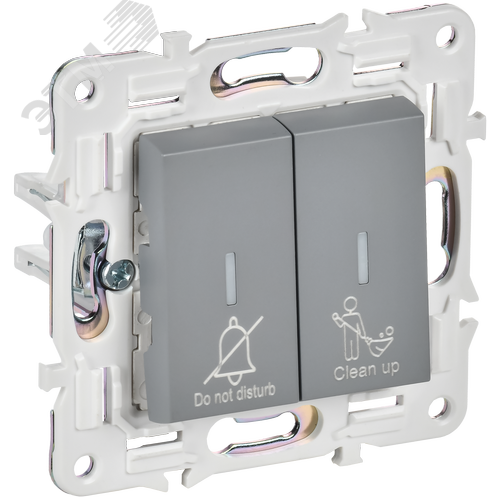 SKANDY Выключатель 2-клавишный с индикацией для отелей 10А SK-V16Gr серый IEK - фото 1