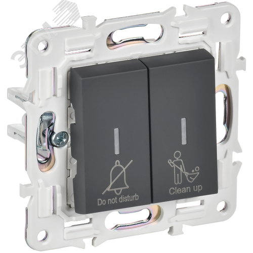 SKANDY Выключатель 2-клавишный с индикацией для отелей 10А SK-V16G графит IEK - фото 1