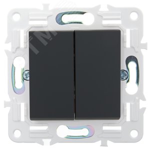 SKANDY Выключатель 2-клавишный проходной 10А SK-V05G графит IEK - фото 2